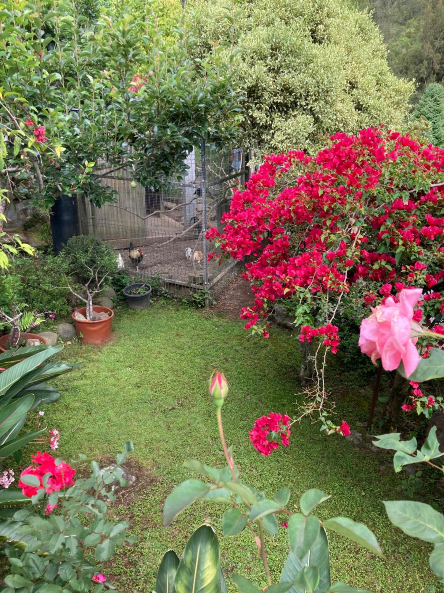 Villa Les Begonias Cilaos Exterior foto
